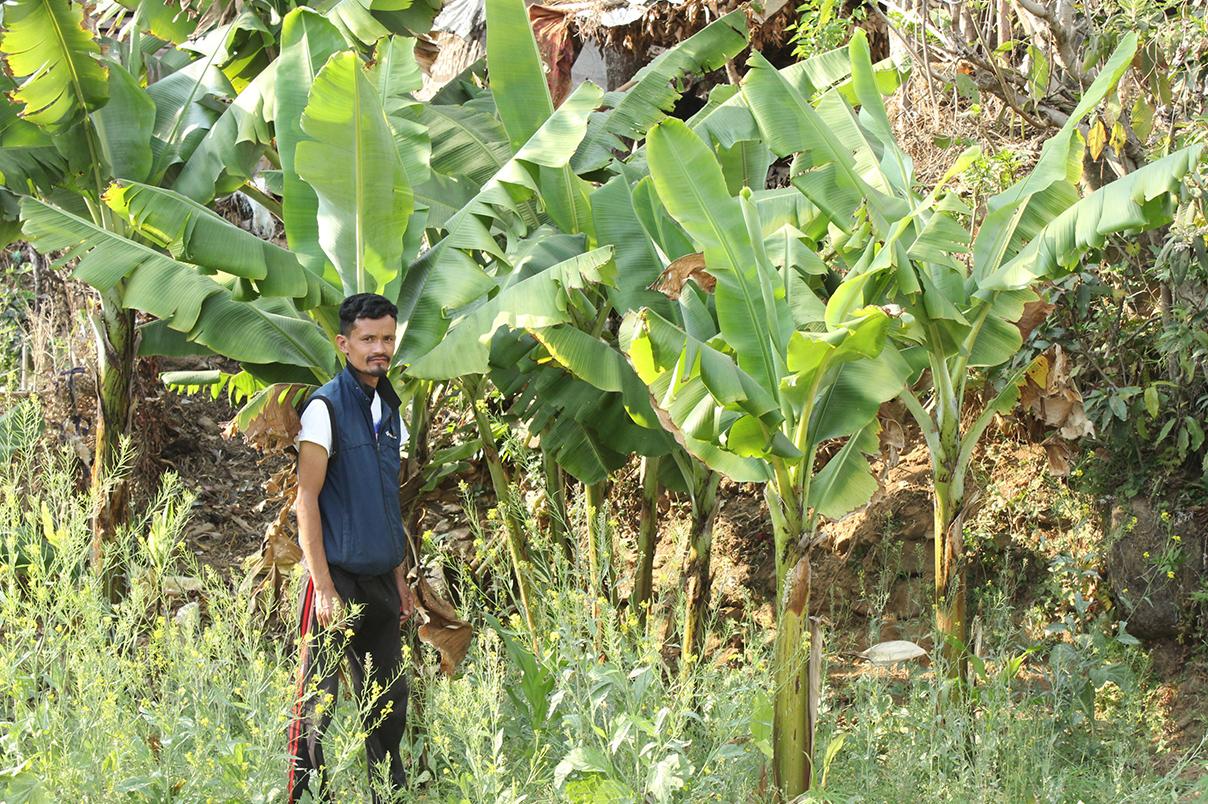 Environment Education and Social Mobilisation